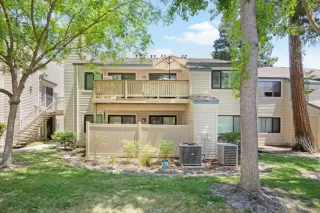 Photo #1: 225088082 Listing 