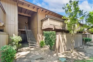 Photo #1: 225088255 Listing 