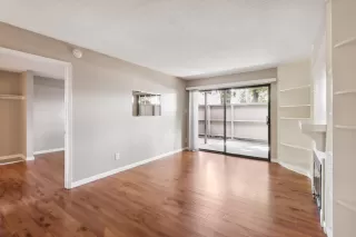 Photo #6: 225088255 Listing 