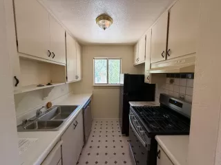 Photo #5: 225088329 Listing