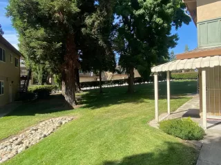 Photo #1: 225088864 Listing 