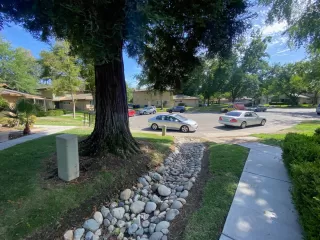 Photo #2: 225088864 Listing 