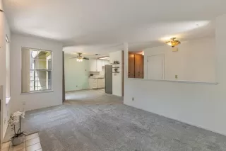 Photo #6: 225089099 Listing 