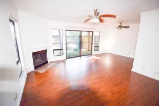 Photo #1: 225089988 Listing