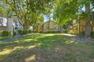 Photo #1: 225092380 Listing 