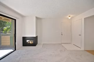 Photo #4: 225092380 Listing 