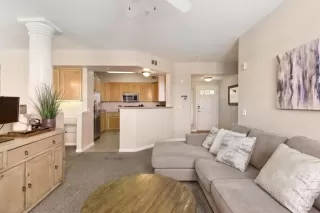 Photo #5: 225092814 Listing 