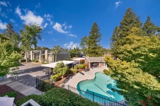 Photo #2: 225093769 Listing 