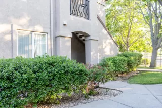 Photo #1: 225093857 Listing