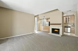 Photo #5: 225094167 Listing 