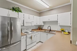 Primary Photo for MLS#: 225094268