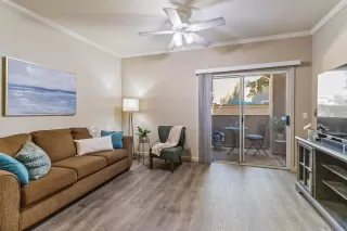 Photo #1: 225094268 Listing 