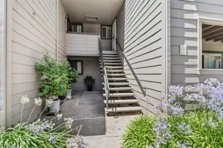 Photo #3: 225094713 Listing