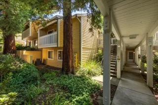 Photo #1: 225094852 Listing