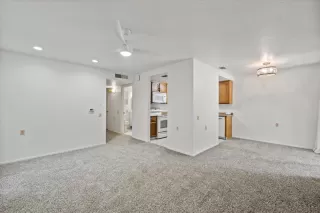 Photo #5: 225094852 Listing