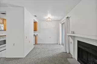 Photo #6: 225094852 Listing