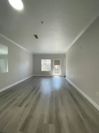 Photo #1: 225095176 Listing 