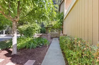 Photo #1: 225095411 Listing