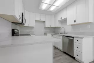 Photo #2: 225095458 Listing 