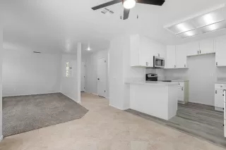Photo #4: 225095458 Listing 