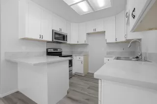 Photo #6: 225095458 Listing 