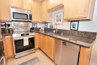 Photo #1: 225095556 Listing 