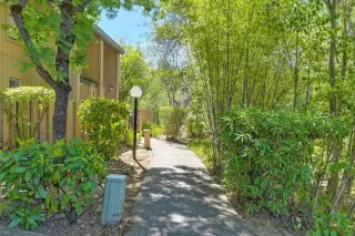 Photo #1: 225095661 Listing