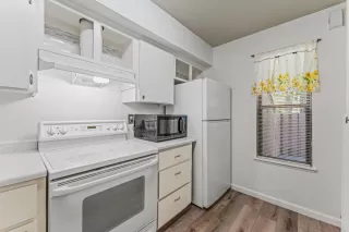 Photo #2: 225097091 Listing 