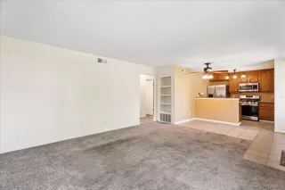 Photo #5: 225097636 Listing