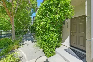 Photo #2: 225098165 Listing