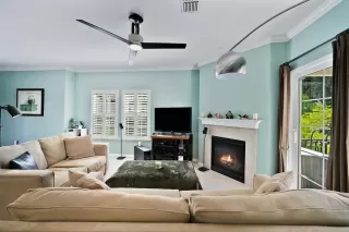 Photo #3: 225098165 Listing