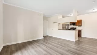 Photo #1: 225098188 Listing