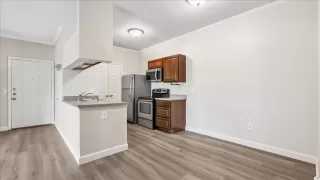 Photo #5: 225098188 Listing