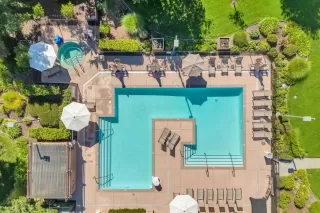 Photo #1: 225098794 Listing 