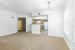 Photo #5: 225099369 Listing 