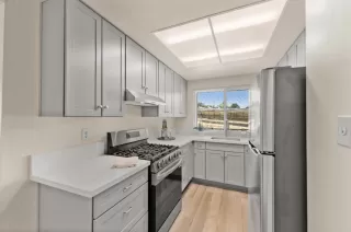 Photo #4: 225099463 Listing