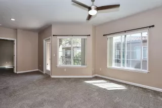 Photo #4: 225099861 Listing