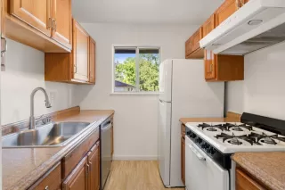 Photo #6: 225100586 Listing