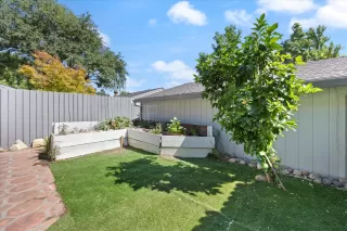 Photo #1: 225100751 Listing 