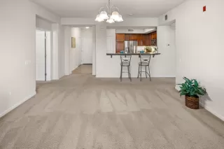 Photo #6: 225100808 Listing 