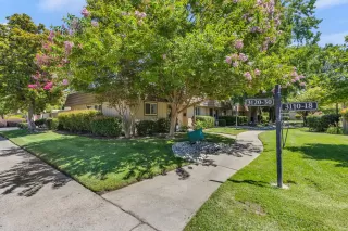 Photo #2: 225100832 Listing