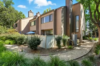 Photo #1: 225101073 Listing 