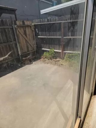 Photo #3: 225102686 Listing 