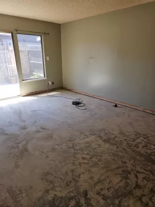 Photo #6: 225102686 Listing 