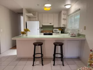 Photo #1: 225103188 Listing 