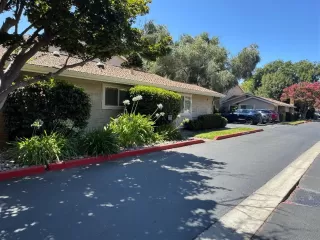 Photo #6: 225103188 Listing 