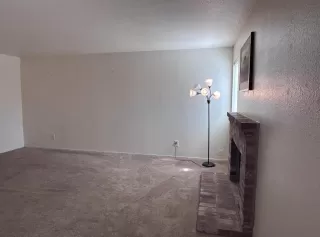 Photo #5: 225105138 Listing 