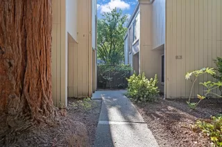 Photo #1: 225105876 Listing 