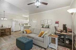 Photo #1: 225106637 Listing 