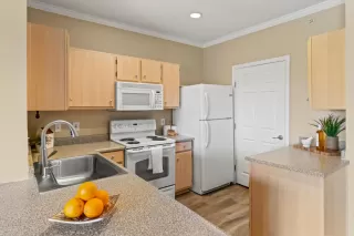 Photo #1: 225107372 Listing